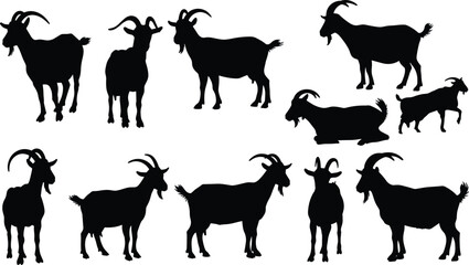 Black goat silhouettes set in various poses including standing, walking, lying down, and group – farm, animal, rustic designs