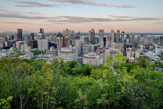 Montreal city skyline panorama at sunset viewed from Mont Royal with urban skyscrapers.