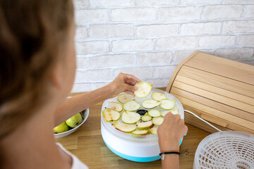 Preparing fresh apple slices for dehydrating in a cozy kitchen as sunlight streams through the...
