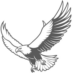 Fototapeta premium outline of an eagle flying bird