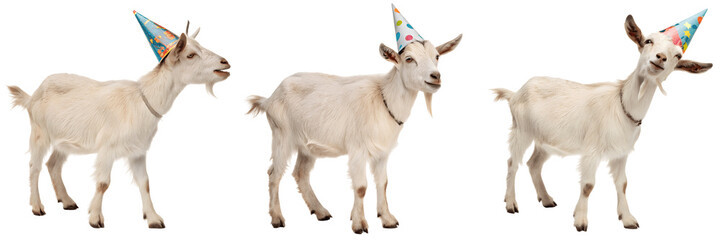 Set For Three white goats are wearing party hats isolated on transparent background