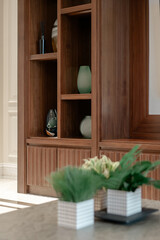 A modern interior scene with decorative plants in the foreground and a classic wooden shelving unit...