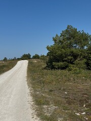 Summer road on the Swedish island, Gotland, in the Baltic sea