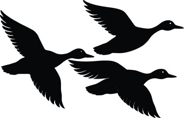 duck in flight  black silhouette vector,pintail duck flying  icon illustration