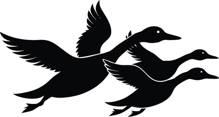 duck in flight  black silhouette vector,pintail duck flying  icon illustration