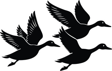 duck in flight  black silhouette vector,pintail duck flying  icon illustration