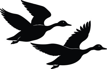 duck in flight  black silhouette vector,pintail duck flying  icon illustration