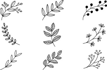 Delicate botanical elements with leaves and berries branches floral