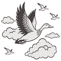 vector illustration of a bird