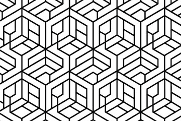 Intricate black and white geometric hexagonal pattern design