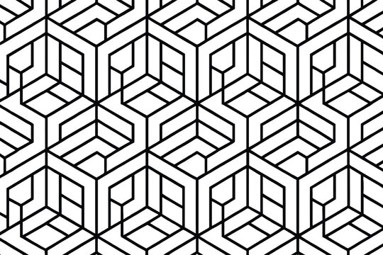 Intricate black and white geometric hexagonal pattern design