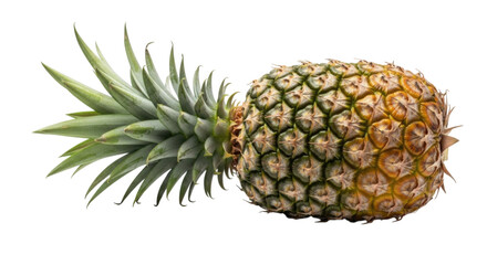 Fototapeta premium Fresh pineapple with green leaves on top isolated on a transparent background, cutout PNG