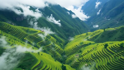 Lush green terraced mountainside with wisps of clouds