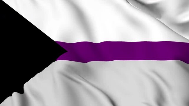 The Demisexual pride flag background. Realistic Demisexual pride flag waving in the wind. LGBTQ Demisexual community symbol Perfect Loop 4K video.