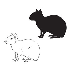 Agouti Features Render - Ground Dweller - Alert Look - Agouti silhouette - Agouti lineart - Agouti vector - vector set of Agouti

