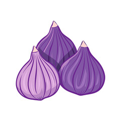 Vector art of three ripe purple figs isolated on a white background