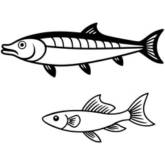 Fototapeta premium Vector art of two distinct fish illustrations on a clean white background