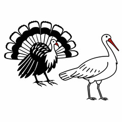 Turkey and Stork Illustration Vector Design