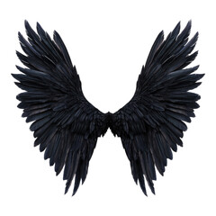 Obraz premium Black wings isolated on transparent background