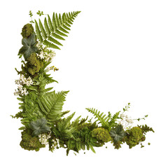 Botanical corner frame made of ultrarealistic intertwining ferns and moss clusters, Isolated on white background
