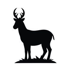 Fototapeta premium Silhouette of a majestic buck standing in grass