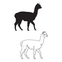 Alpaca Figure Pairing - Soft Fiber - Graceful Posture - Alpaca silhouette - Alpaca lineart - Alpaca vector - silhouette & lineart of Alpaca

