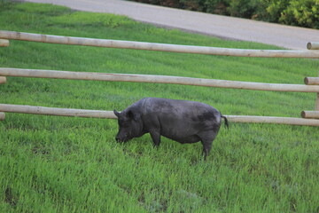 The cool views around the valley in Saskatchewan.