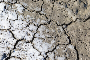 Dry cracked soil is showing salt deposits after water evaporation