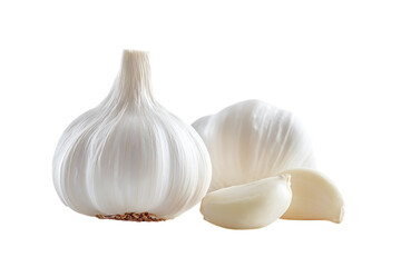 Fresh garlic bulbs and cloves.