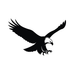 Obraz premium Majestic bald eagle in flight silhouette