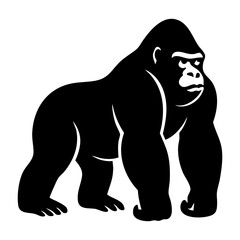 Obraz premium Gorilla