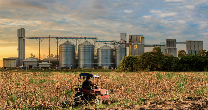 Agricultural Silos - Building Exterior, Storage and drying of grains, wheat, corn, soy, sunflower against the blue sky  with farm tractors in the foreground.