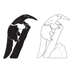 Anteater Form Collection - Forest Dweller - Unique Mammal - Anteater silhouette - Anteater lineart - Anteater vector - silhouette & lineart of Anteater

