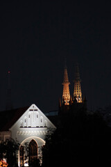 Cathedral at night with beautiful golden illuminated spires