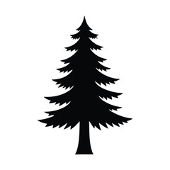 Obraz premium Silhouette of a tall evergreen pine tree