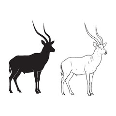 Antelope Form Collection - Open Plain Dweller - Keen Senses - Antelope silhouette - Antelope lineart - Antelope vector - silhouette & lineart of Antelope

