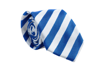 Rolled tie, diagonal white and royal blue stripes