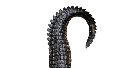 Close-up of an alligator tail