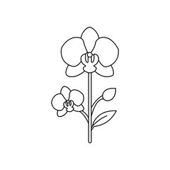 Exotic Pink Orchid Line Icon: Tropical Floral & Houseplant Outline Symbol