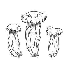 Line art vector set of oyster mushrooms on white background