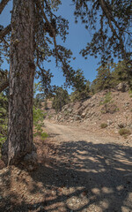 Troodos Geopark, located on Troodos
wooded peak, making up the deepest layer
of oceanic crust section, and Earth's upper
mantle, formed deep below sea-level more
than 90 million years ago, Cyprus