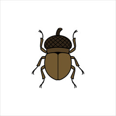 Acorn nut weevil vector (Curculio nucum)	