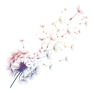 Rainbow Dandelion Watercolor Sublimation