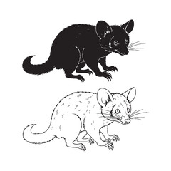 Aye-Aye Form Collection - Unique Primate - Bushy Tail - Aye-Aye silhouette - Aye-Aye lineart - Aye-Aye vector - silhouette & lineart of Aye-Aye

