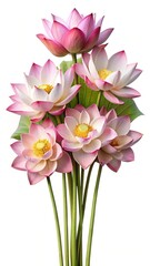 Obraz premium Elegant and Serene Lotus Flower Arrangement on a White Background, Beautiful Display