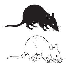 A Bandicoot Art Duo - Night Time Essence - Light Frame - Bandicoot silhouette - Bandicoot lineart - Bandicoot vector - vector set of Bandicoot

