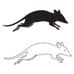 Bandicoot Figure Pairing - Solitary Spirit - Rounded Back - Bandicoot silhouette - Bandicoot lineart - Bandicoot vector - silhouette & lineart of Bandicoot

