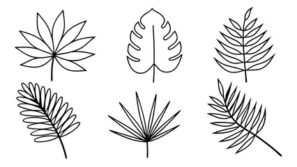 Tropical leaves line art bundle, Outline botanical vector icons including monstera, palm, banana, fern, palm fan silhouettes