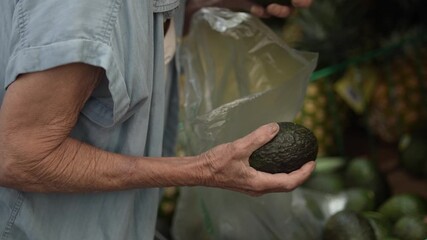 An elderly woman carefully examines avocados in a grocery store, showcasing her attention to detail while selecting fresh produce for her meals.