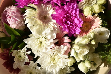 floral background with fresh pink and white flowers, top view